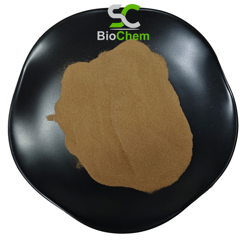 Bulk Valeriana Officinalis Herbal Extract 10: 1 Valerian Extract Powder