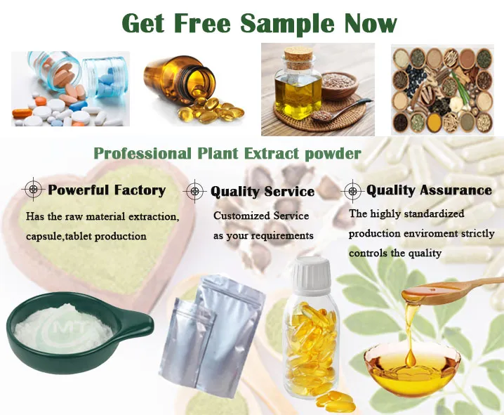 Mint Extract Production