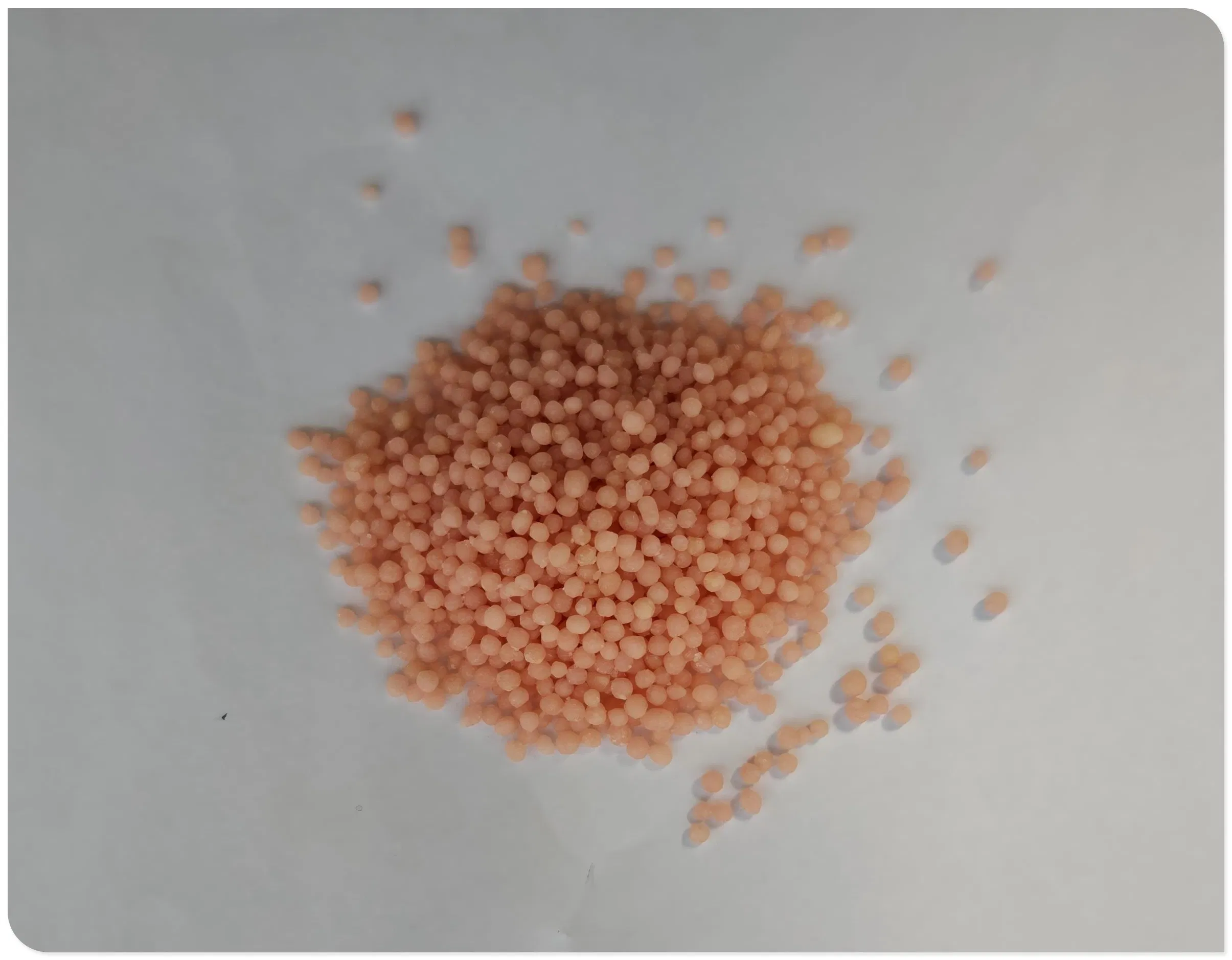 Ginseng Herbal Probiotic Beverage Granules for Digestive Wellness