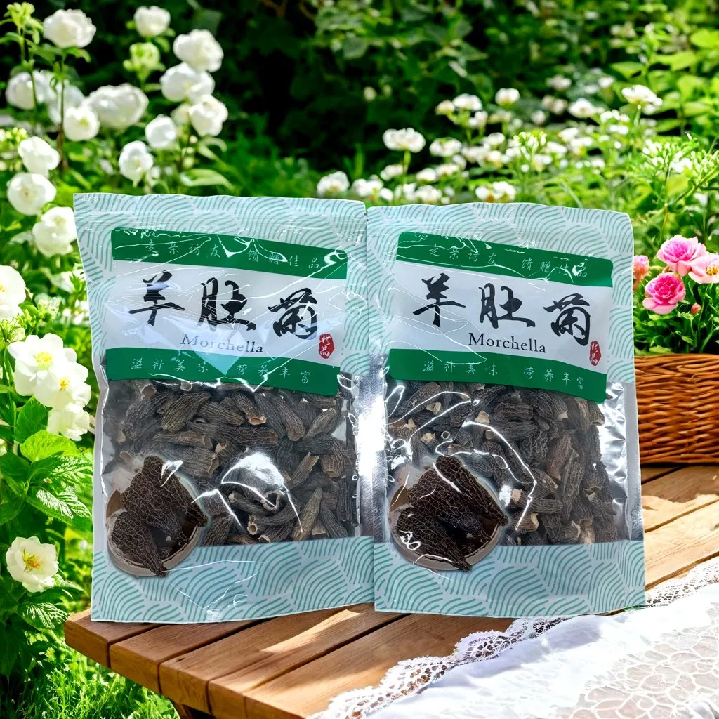 Factory Morel Mushrooms Year-Round Supply of European Organic Morel Mushrooms Dried Morchella