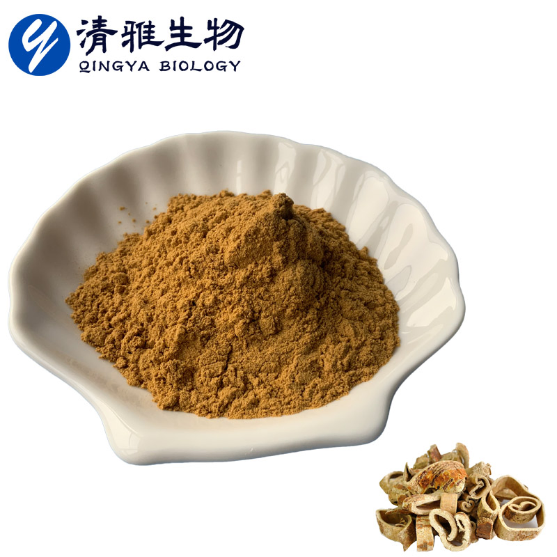 Plant Extract Morus Alba Extract10: 1 Herbal Extract Morus Alba Powder