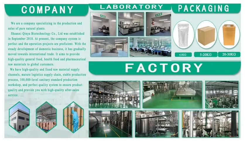 Freeze Dried Process Display