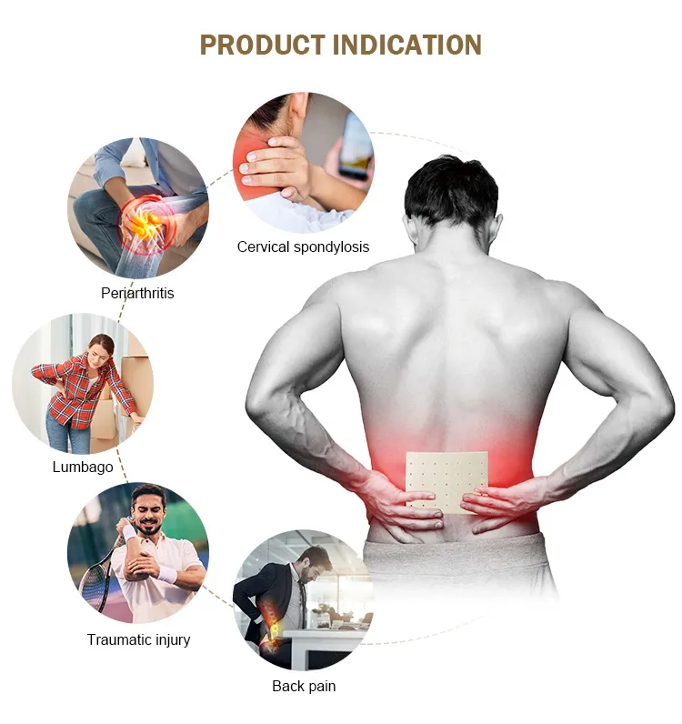 Pain Relief Plaster Back