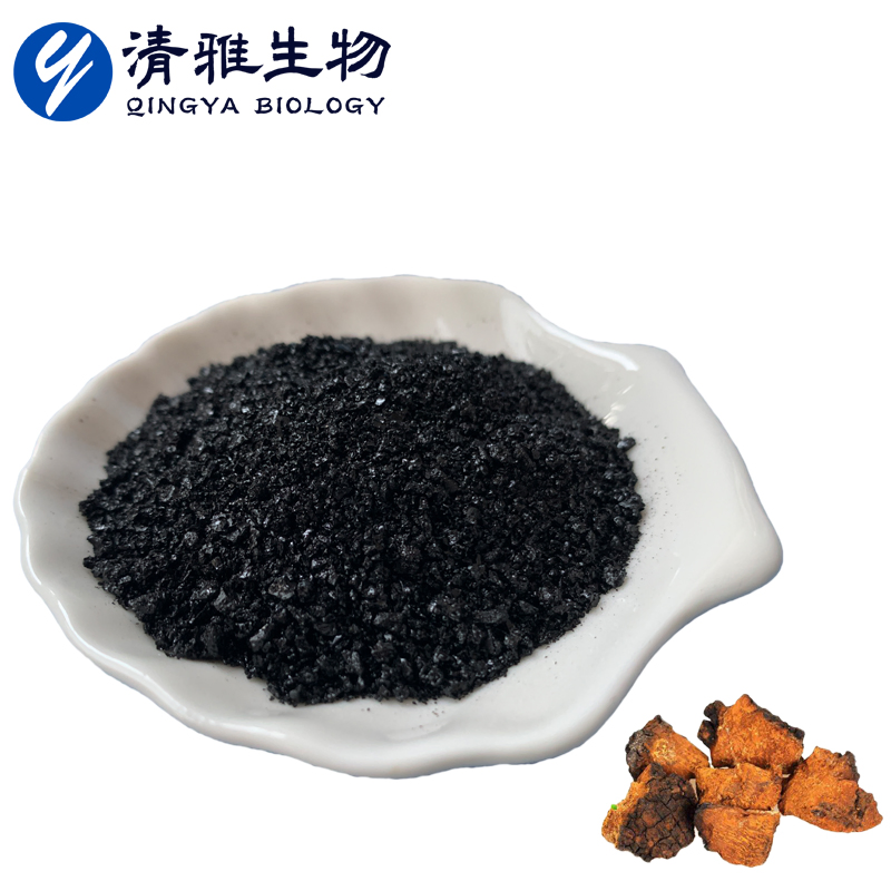 Chaga Mushroom Granules Chaga Extract Phaeoporus Obliquus Extract Inonotus Obliquus