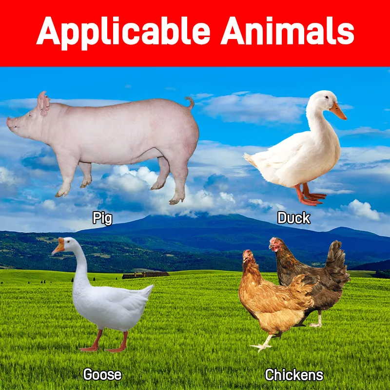 Licorice Granules Detail 4