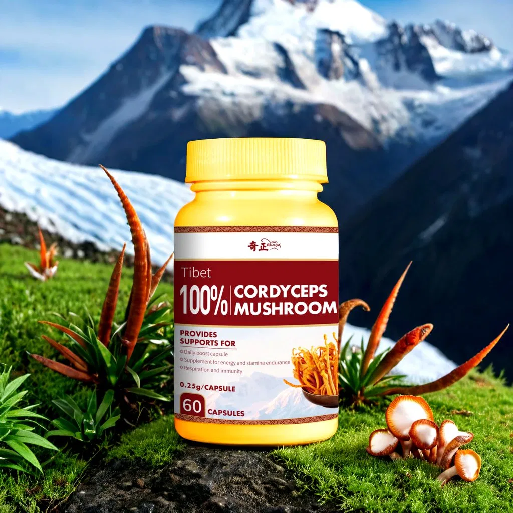 Cordyceps Extract