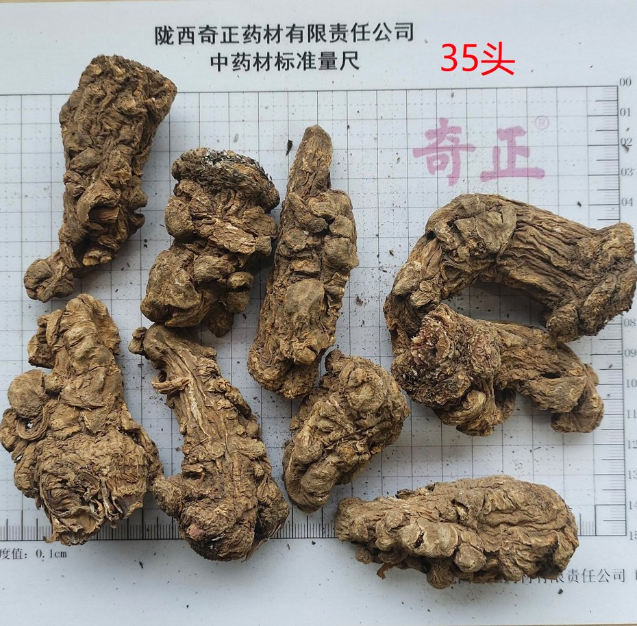 Herbal Medicine Factory Wholesale and Cultivated Chinese Traditional Herb 100% Natural Herbal Angelica Sinensis Dried Angelica Herb Dang Gui