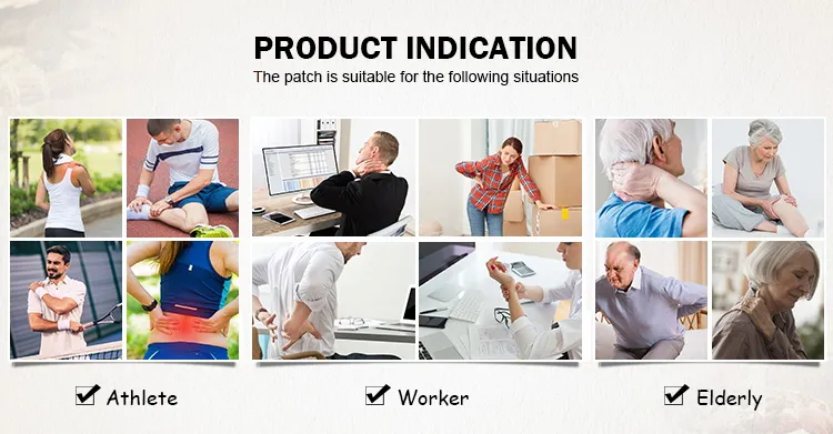 Pain Relieving Plaster Details