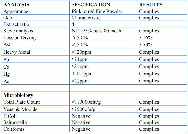 Good Price Quality Herbal Powder Acai Berry Extract Powder with 4: 1 10: 1