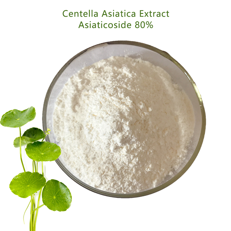 Natural Herbal Extract 70% Total Triterpenes Gotu Kola Extract Powder
