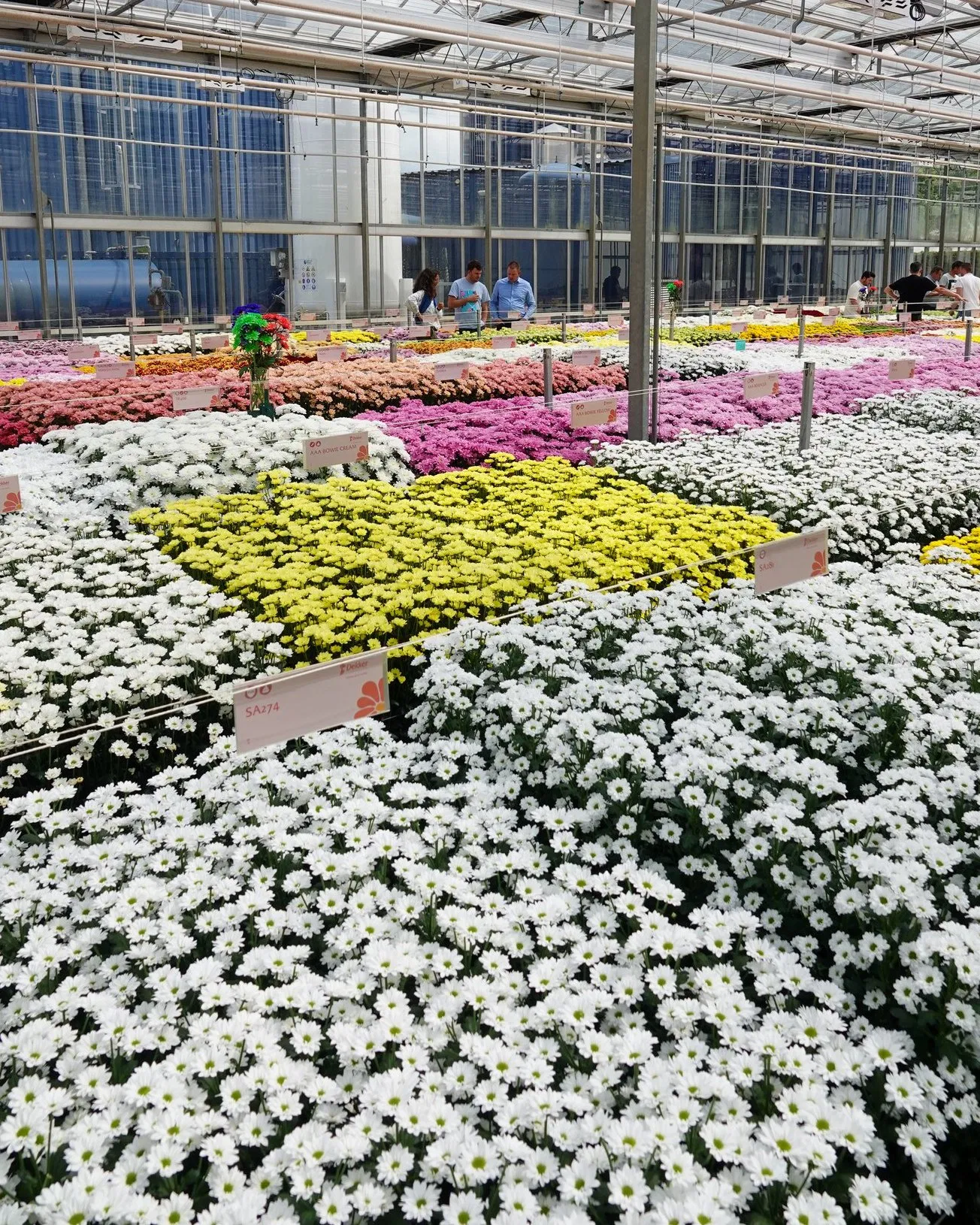 Flower House Greenhouse Kit