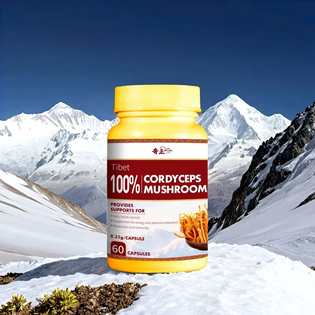 Good Price Chinese Supplier 100% Cordyceps Mushroom Cordyceps for Food Additive Immunity Enhancement