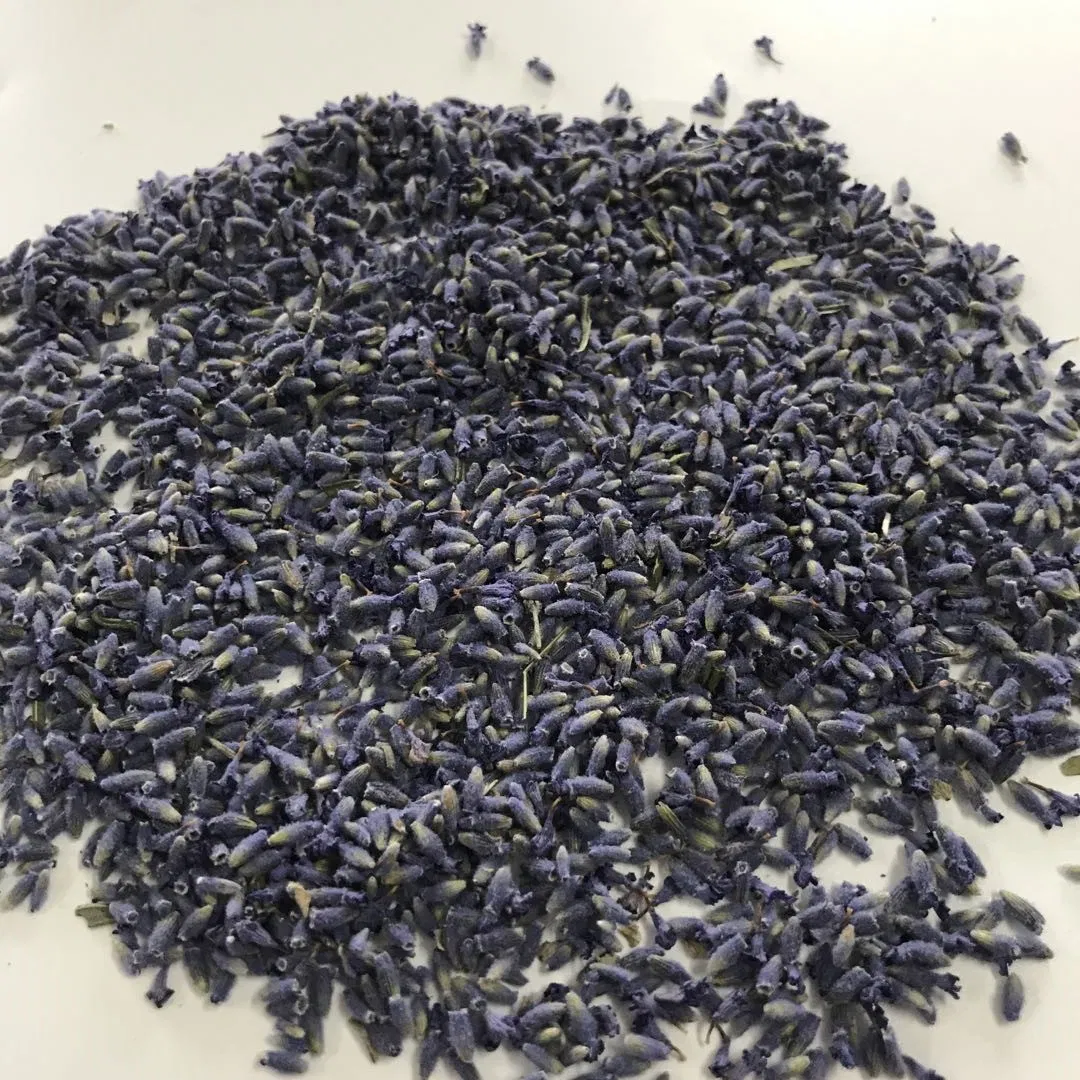 Herbal Tea Xun Yi Cao Lavender Oil Raw Material Lavender