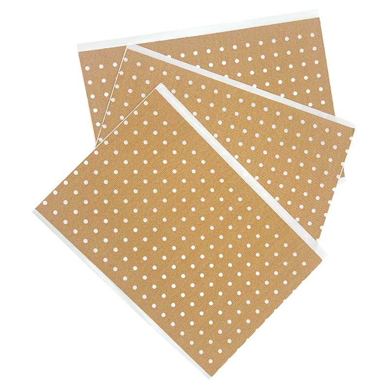 Capsicum and Belladonna Herbal Plaster Deep Warming Relief for Muscle Aches and Joint Stiffness