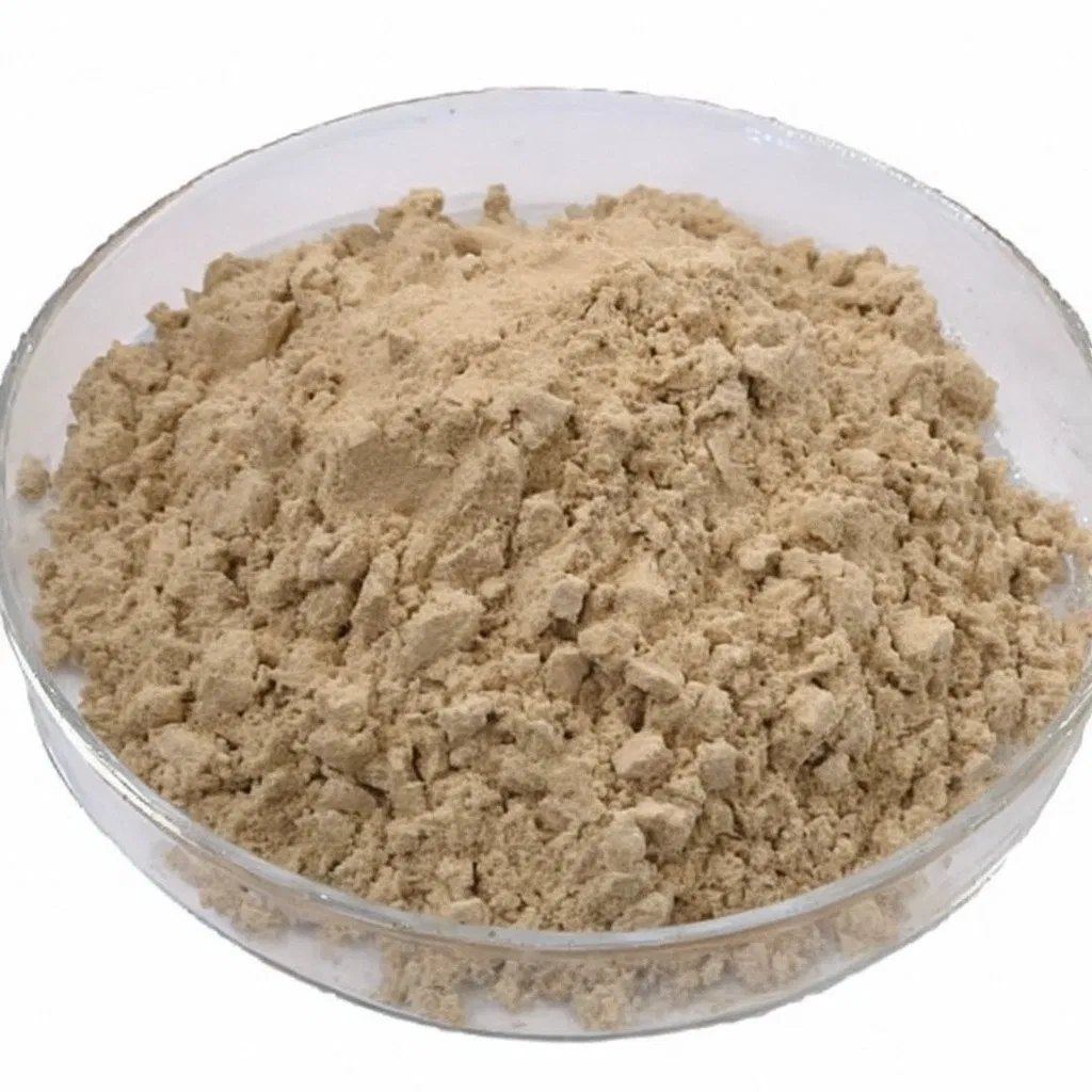 The Factory Produces High Quality Ginsenoside 80% Ginseng Root Extract Ginseng Powder