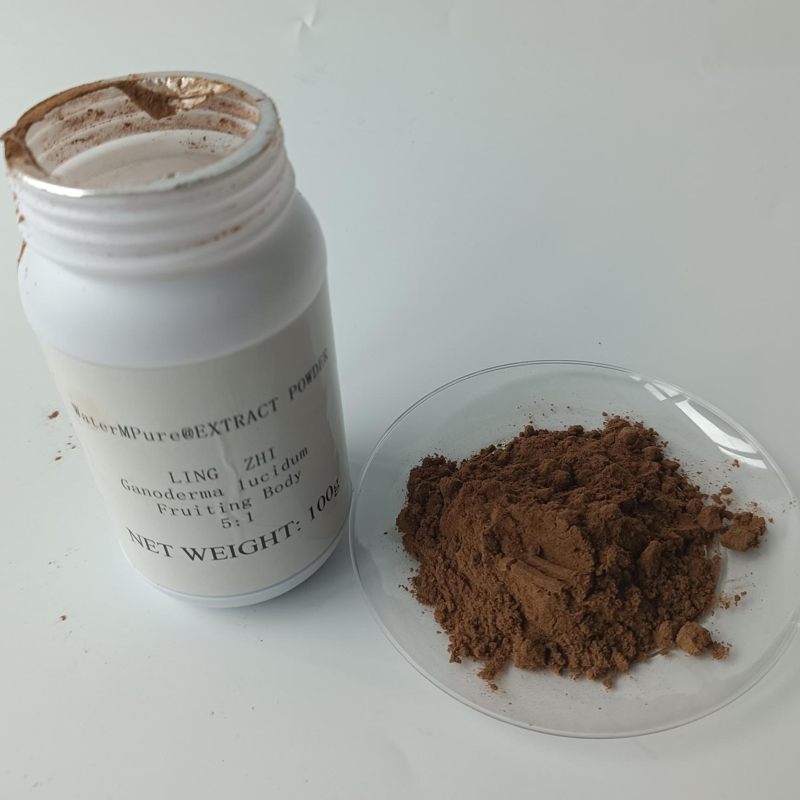 Premium Customized Herbal Dietary Supplements for Optimal Health Chinese Herbal Medicine Concentrated Powder