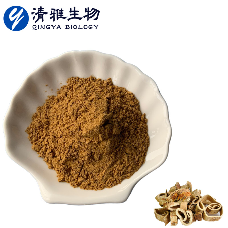 Plant Extract Morus Alba Extract10: 1 Herbal Extract Morus Alba Powder
