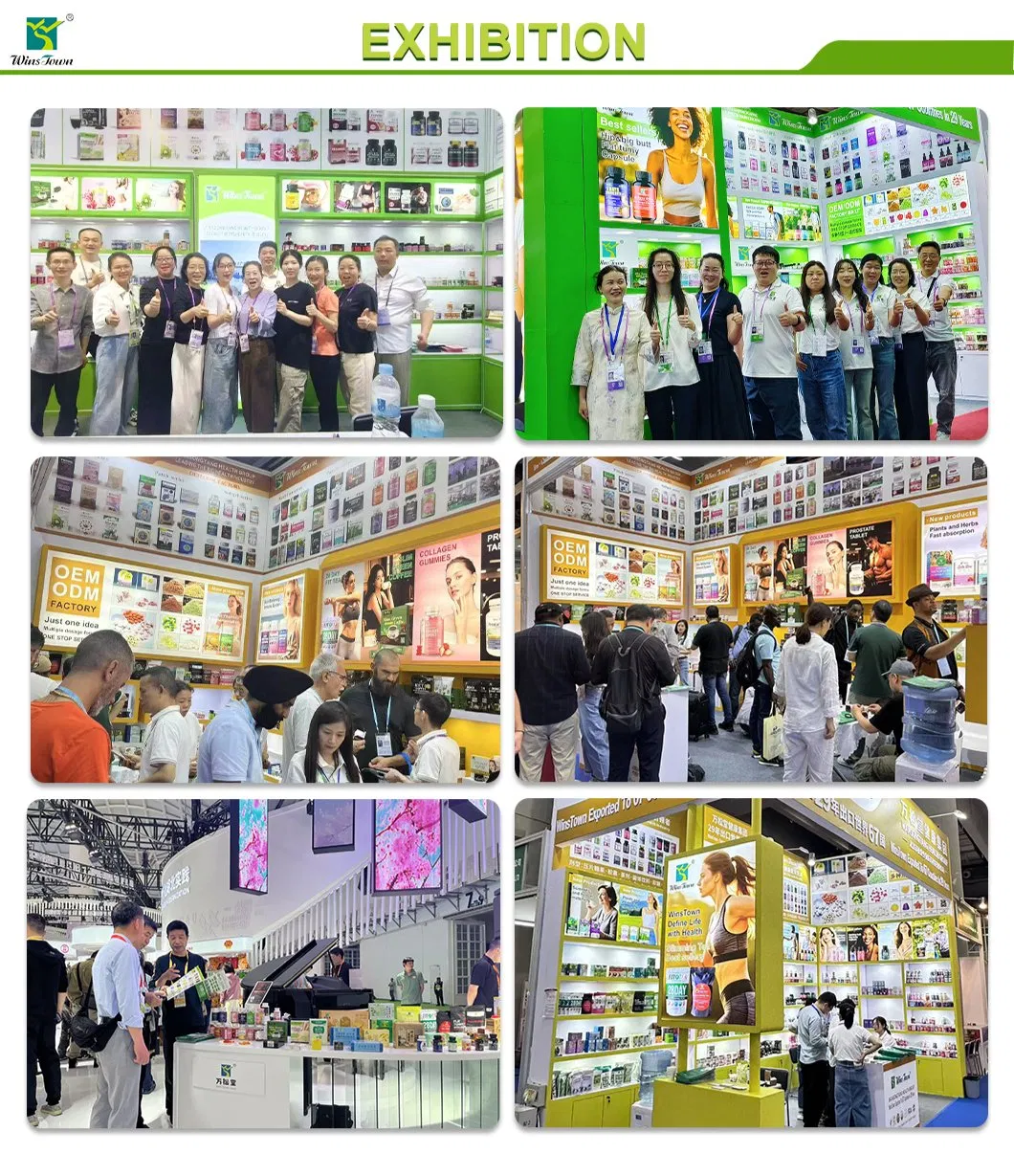 Global Exhibition