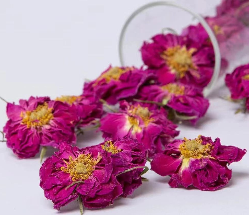 Organic Snow Plateau Beauty Dry Rose Herbal Tea Rose Bud Tea