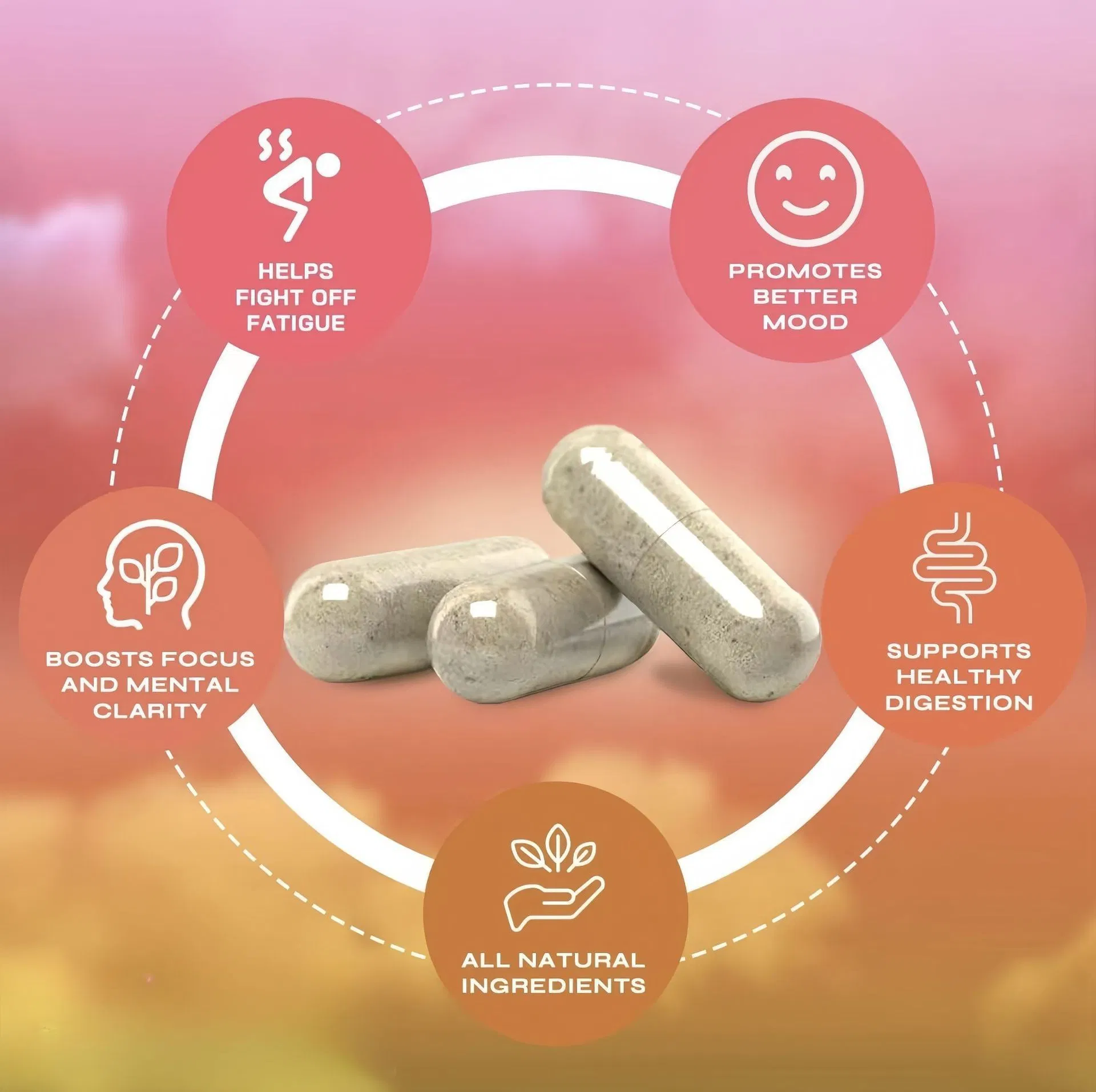 OEM Health Supplement Maude Tea Capsules - Herbal Supplement Capsules - 60 Capsules