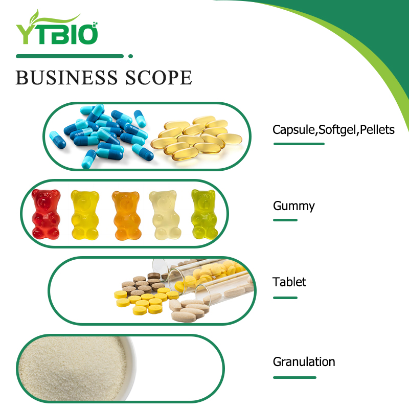 Private Label Spearmint Leaf Capsules OEM Custom Herbal Supplement Manufacturer