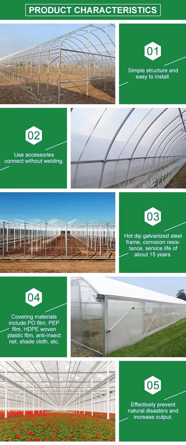 Greenhouse Structure Detail 1