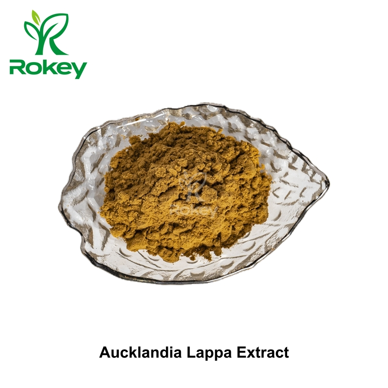 Premium Herbal Powder for Digestive Wellness Aucklandia Lappa Extract; Costus Root Extract