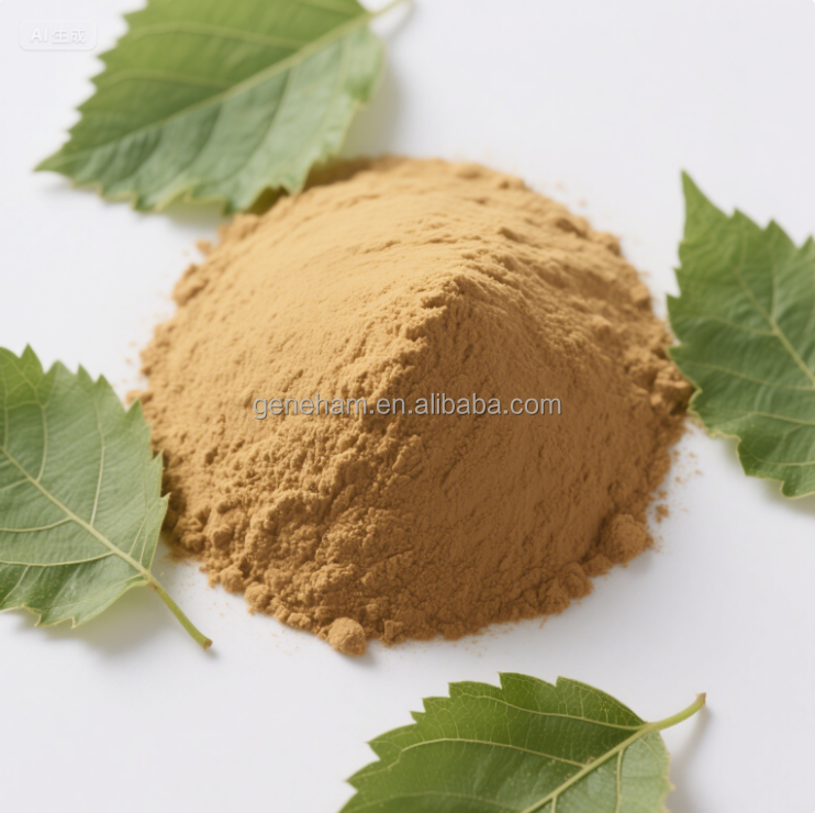 Mulberry Leaf Extract Powder Food Grade Herbal Extract 10% Organic Certified No Additives