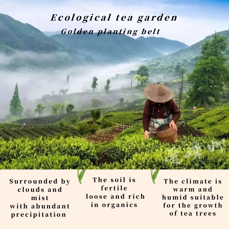 Natural Tea Processing