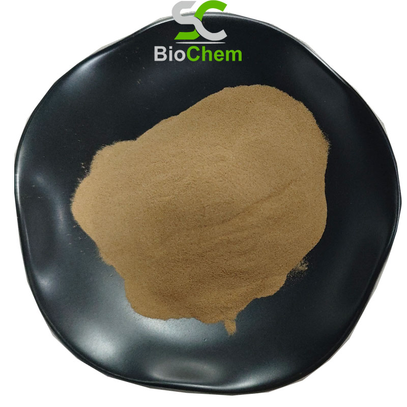 Bulk Valeriana Officinalis Herbal Extract 10: 1 Valerian Extract Powder