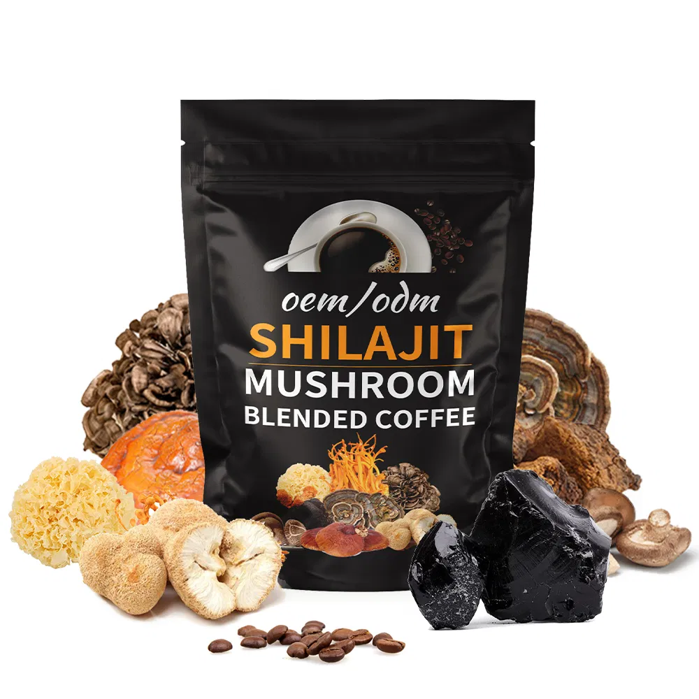 Delicious Shilajit Mushroom Drink