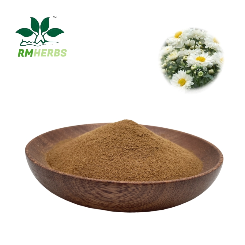 Supply High Quality Plant Extracts Chrysanthemum Extract Powder 10: 1 for Herbal Remedies