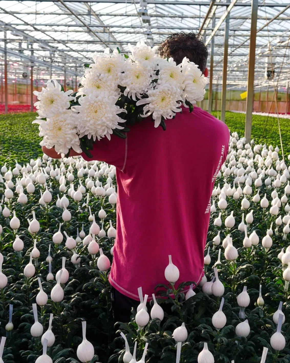 Quick Assembly UV-Resistant Flower House Greenhouse Kit for Home Garden