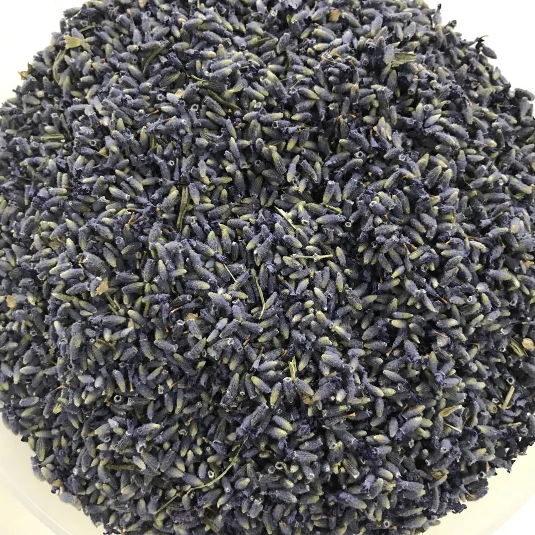 Herbal Tea Xun Yi Cao Lavender Oil Raw Material Lavender