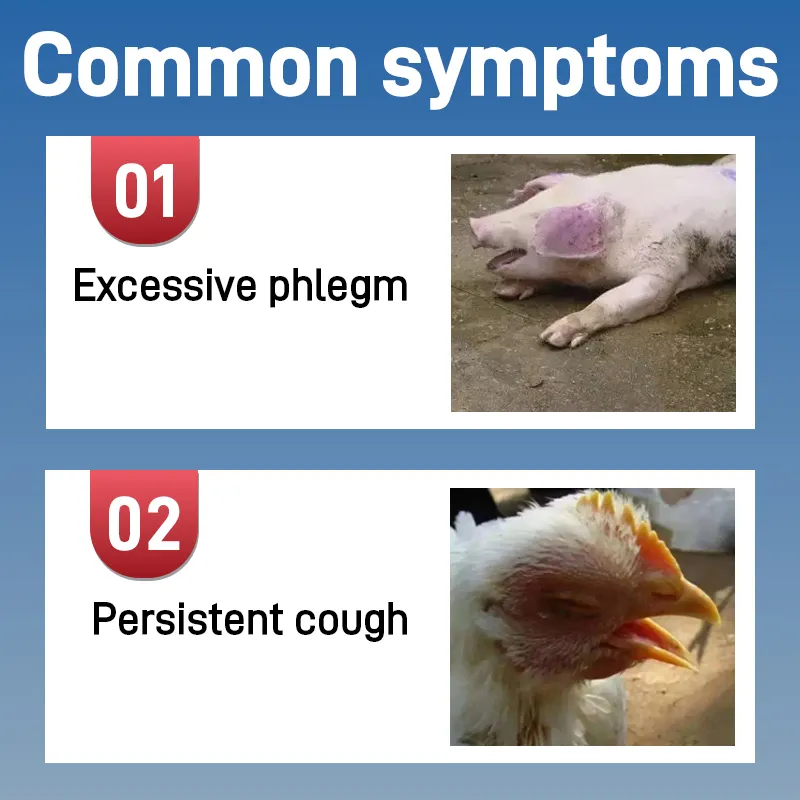 Veterinary Medicine Display