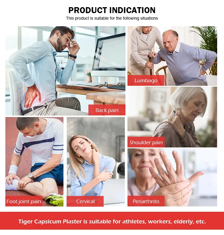 Body Pain Relief Plaster