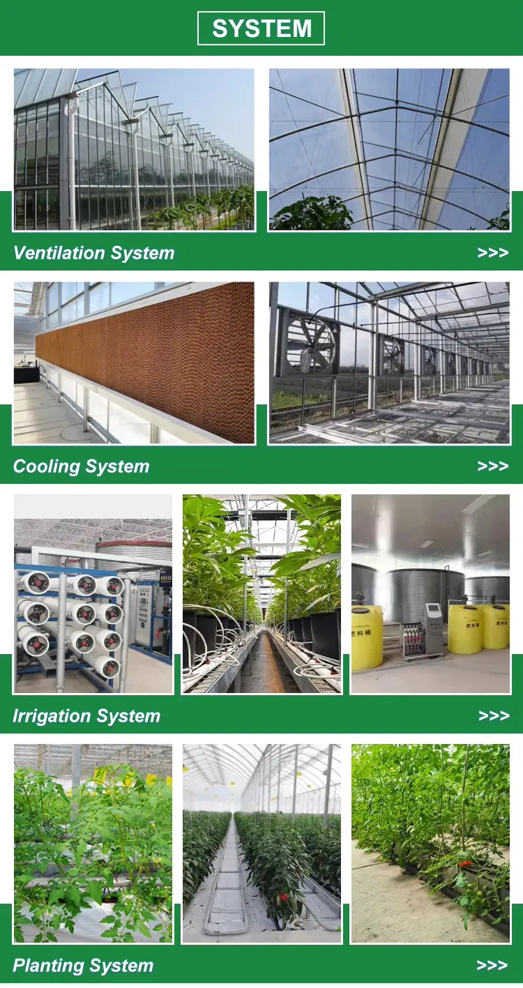 Greenhouse Structure Detail 2