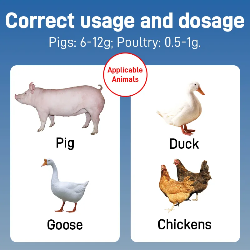 Licorice Granules Packaging