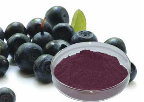 Good Price Quality Herbal Powder Acai Berry Extract Powder with 4: 1 10: 1