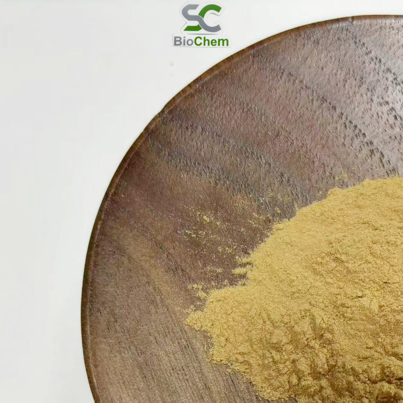 Astragalus Root Extract Astragalus Root Herbal Supplement Anti-Aging