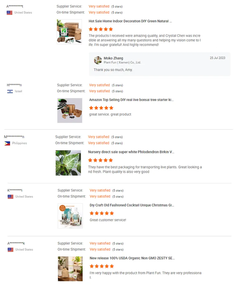 Customer Reviews