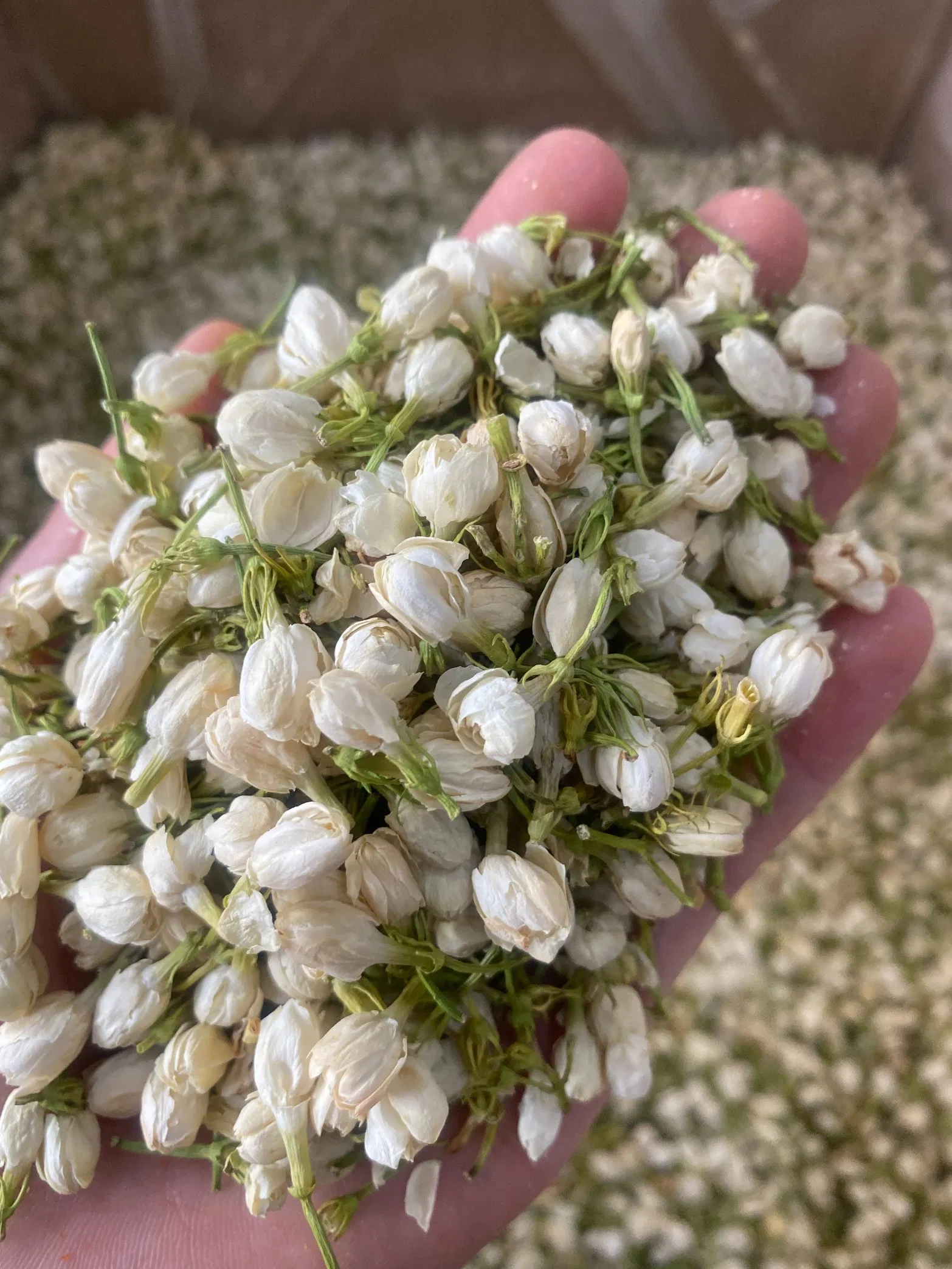 Wholesale Chinese Herbal Flavored Tea Chinese Natural Jasmine Dried Flower Sanbao Tea Jasmine Tea