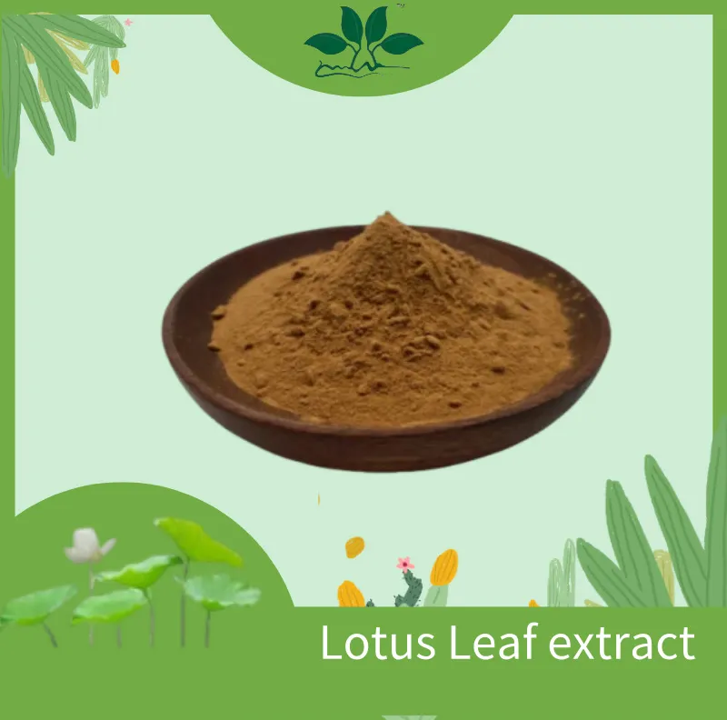 Lotus Leaf Product Display