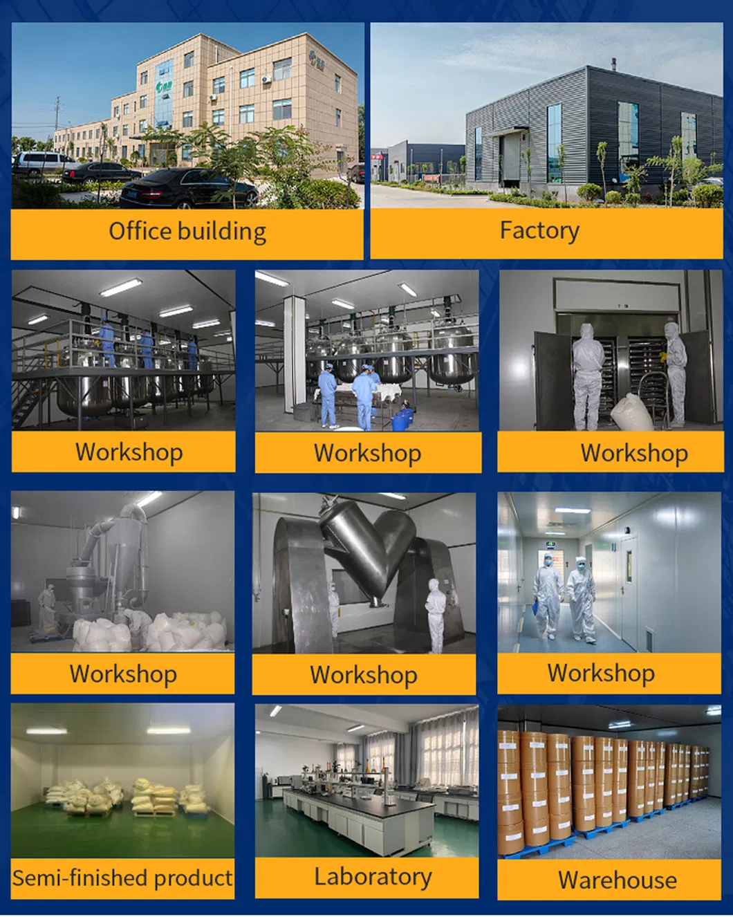 Detailed Info Graphic 2