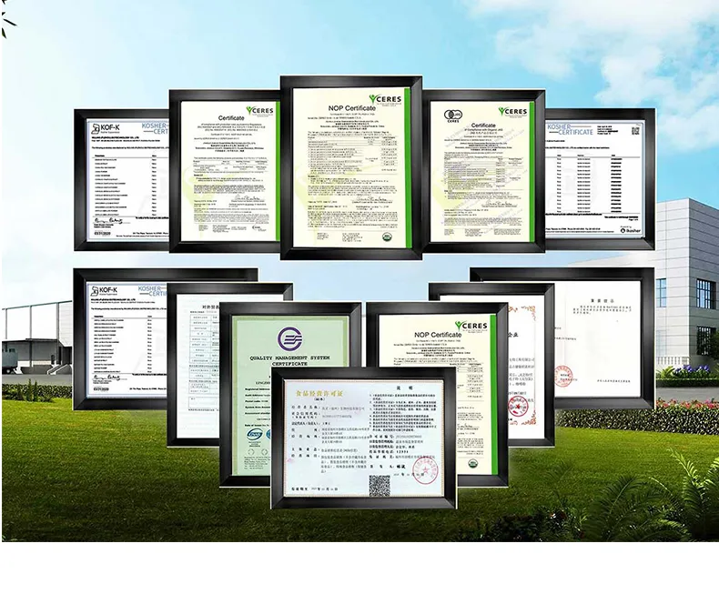 Manufacturing Process