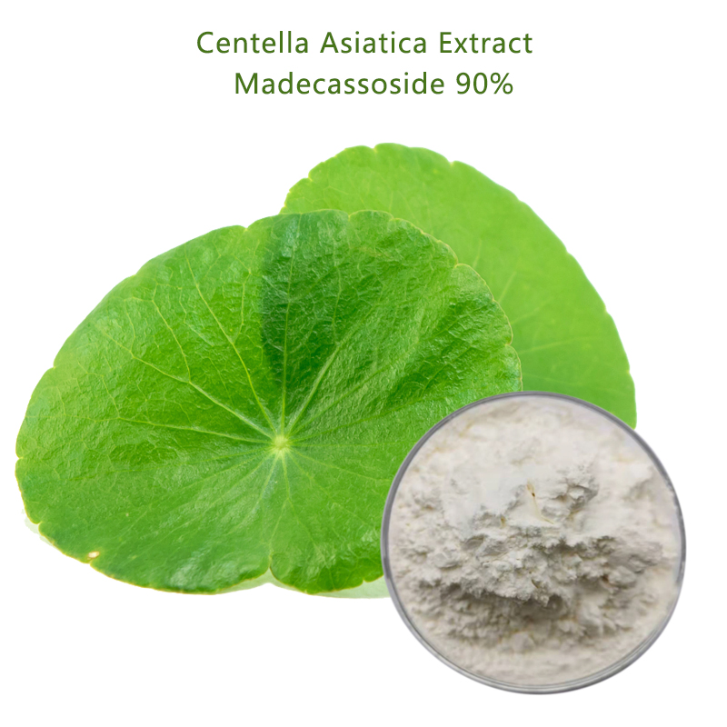 Natural Herbal Extract 70% Total Triterpenes Gotu Kola Extract Powder
