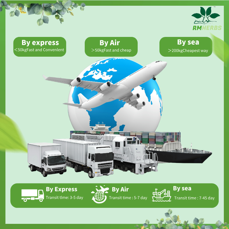 Supply High Quality Plant Extracts Chrysanthemum Extract Powder 10: 1 for Herbal Remedies