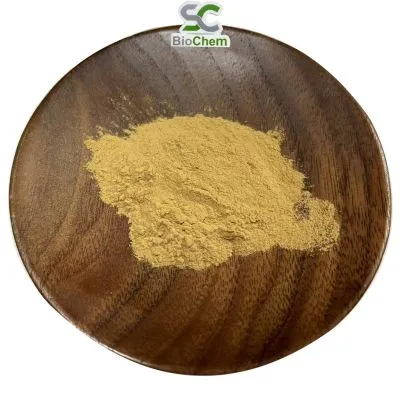 Astragalus Root Product