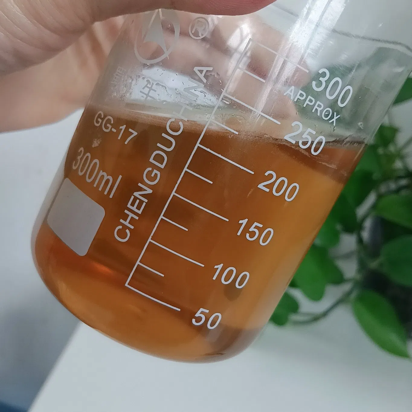 Supply High Quality Plant Extracts Chrysanthemum Extract Powder 10: 1 for Herbal Remedies