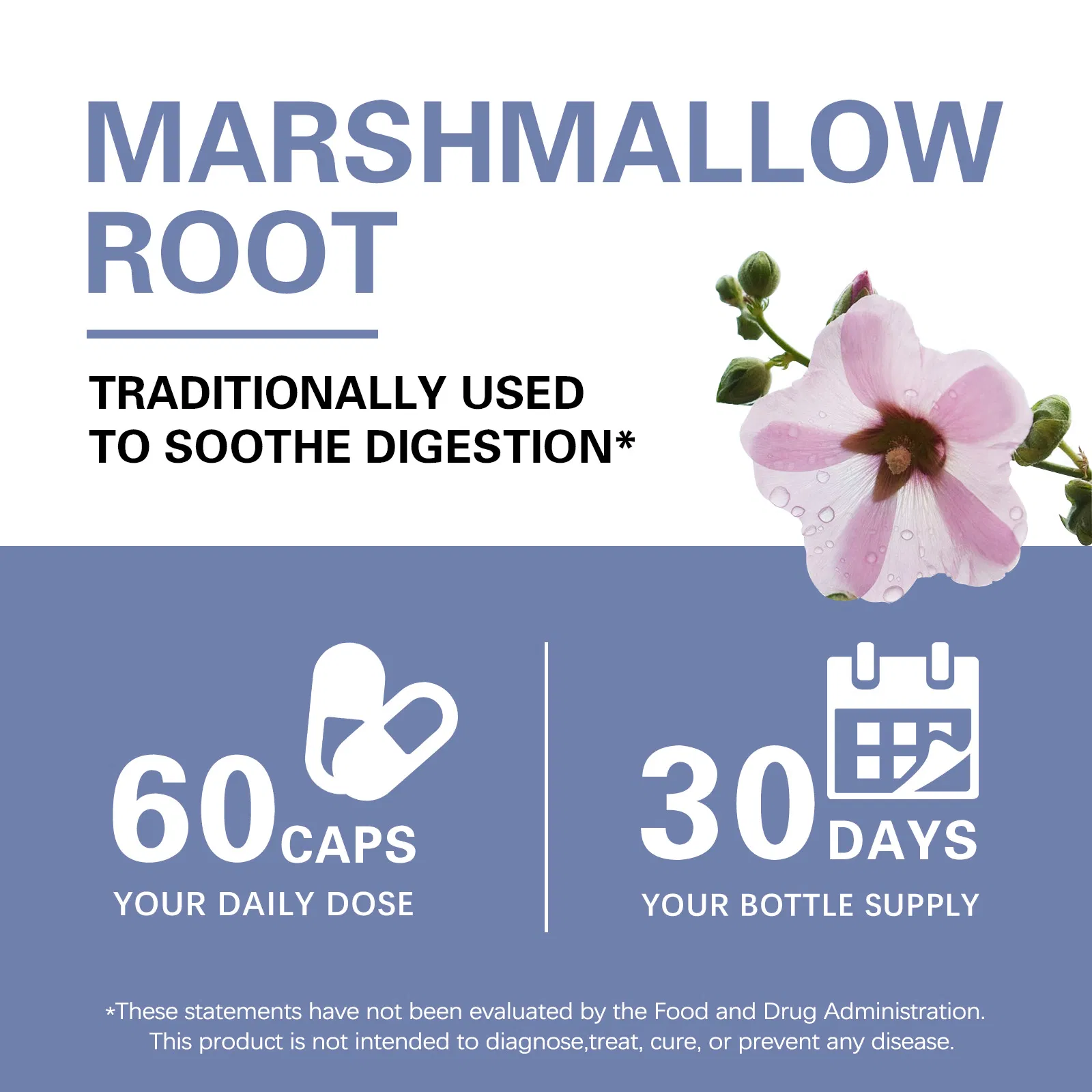 Premium Marshmallow Root Hard Capsules - Natural Digestive &amp; Respiratory Mucus Support Herbal Supplement